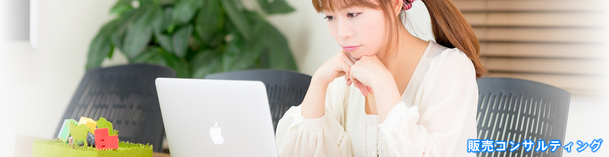 販売コンサルティング：東京都足立区のWEB-ウェブ-制作・コンサルティング・デザイン　株式会社BlueStar